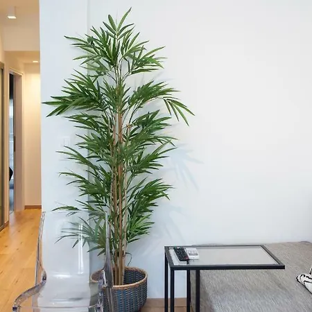 Kanonika Homes Appartement