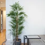 Kanonika Homes City Apartment Apartament
